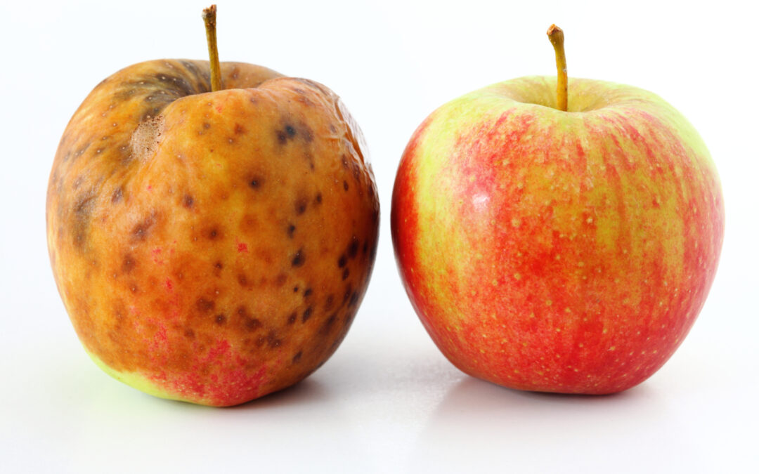 ￼Just Like Cops, Teachers Often Refuse to Address the ‘Bad Apples’ in Their Profession